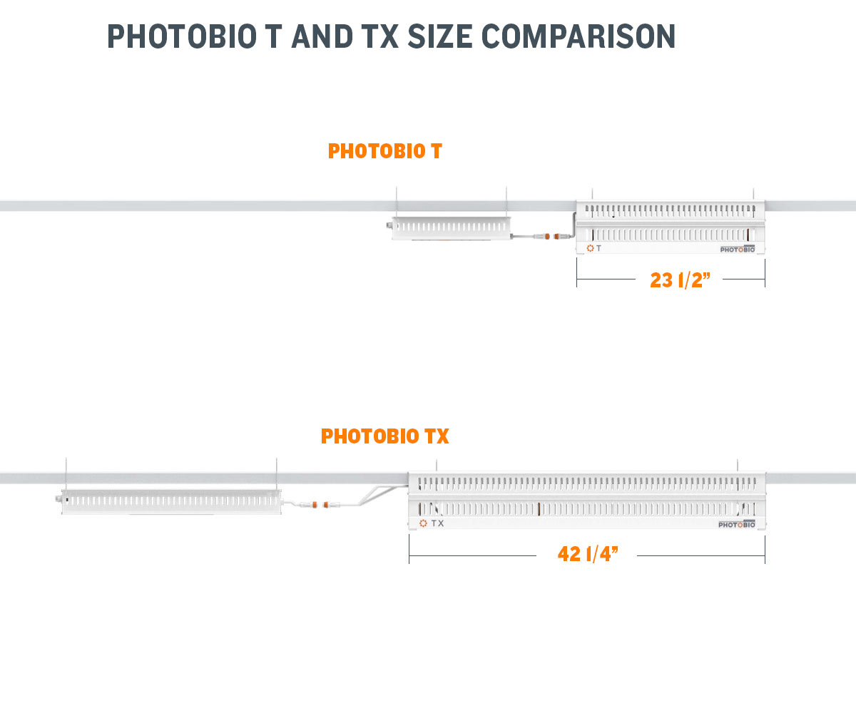 T and TX Size Comparison